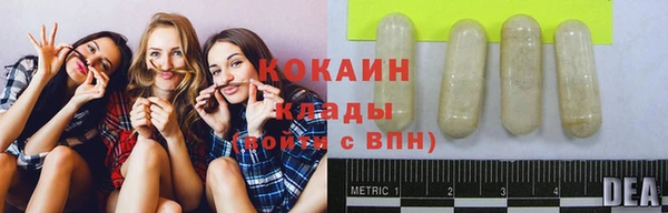 кокс Касимов