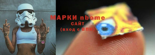 стаф Каменка