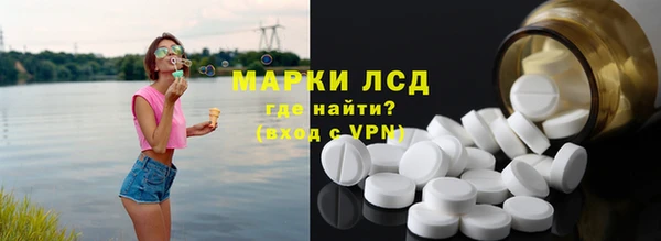 стаф Каменка