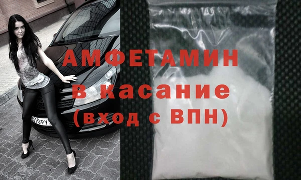 стаф Каменка