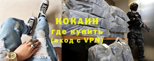 стаф Каменка