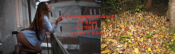 стаф Карталы
