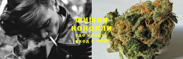 кокс Касимов