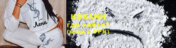 кокс Касимов